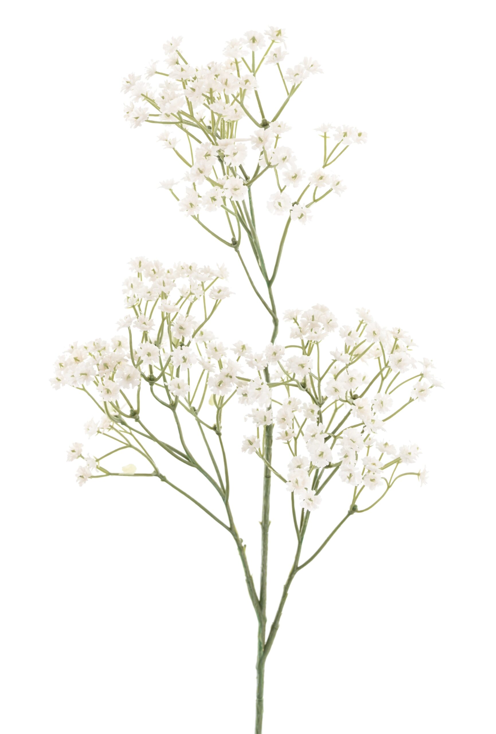 Künstliche Gypsophila, weiß, ca. 60cm hoch 1 Künstliche Gypsophila, weiß, ca. 60cm hoch