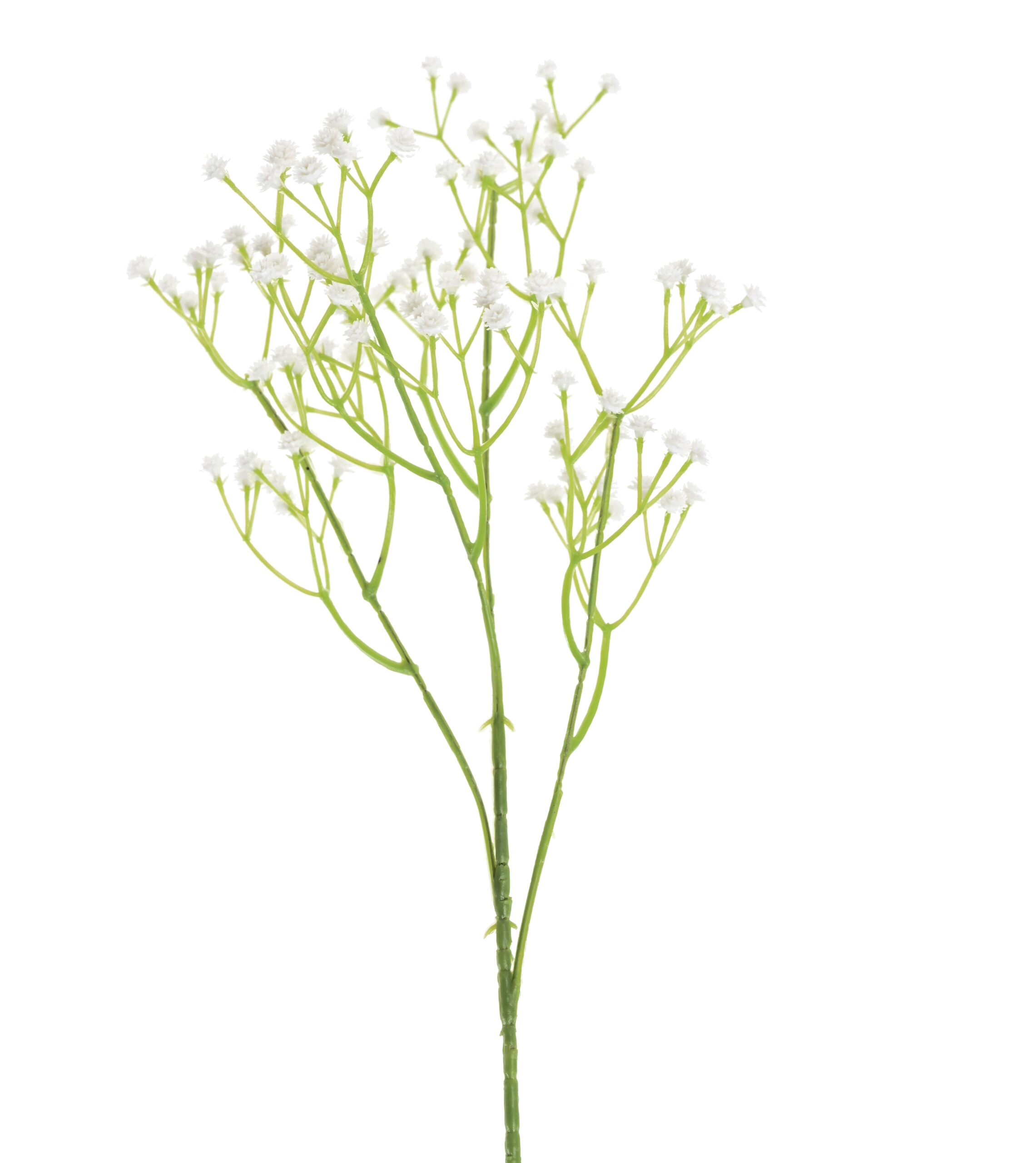 Künstliche Gypsophila, weiß, ca. 60cm hoch 1 Künstliche Gypsophila, weiß, ca. 60cm hoch