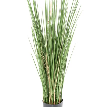 Künstliches Honig Gras, 80cm, Schwer entflammbar B1/RF2