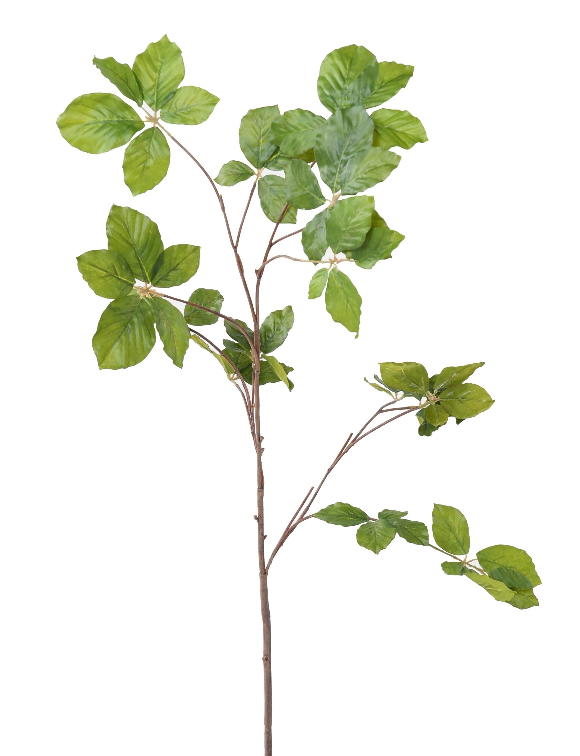 Künstlicher Hainbuchen Zweig, ca 102cm, grün 1 Künstlicher Hainbuchen Zweig, ca 102cm, grün