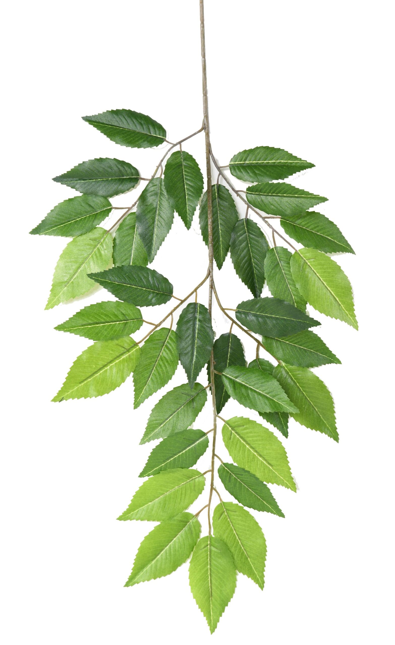 Künstlicher Hainbuchen Zweig, ca 65cm, grün 1 Künstlicher Hainbuchen Zweig, ca 65cm, grün