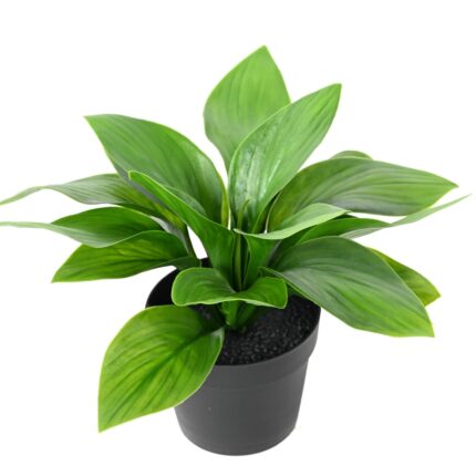 Künstliche Hosta: UV-beständige Deko für Ihr Zuhause