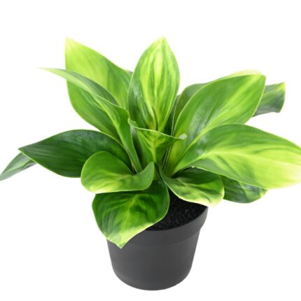 Künstliche Hosta: UV-beständige Deko für Ihr Zuhause