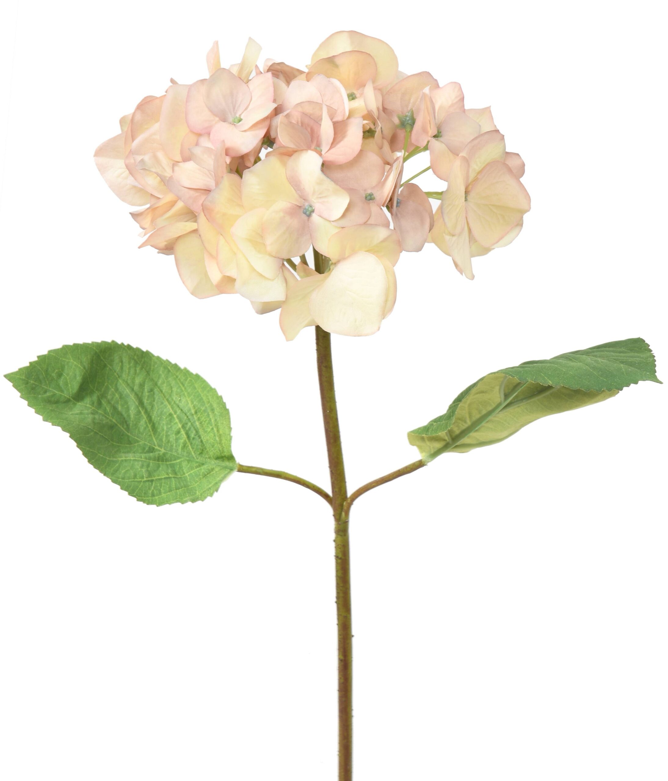 Künstliche Hortensie, pink-gelb, ca. 65cm hoch 1 Künstliche Hortensie, pink-gelb, ca. 65cm hoch