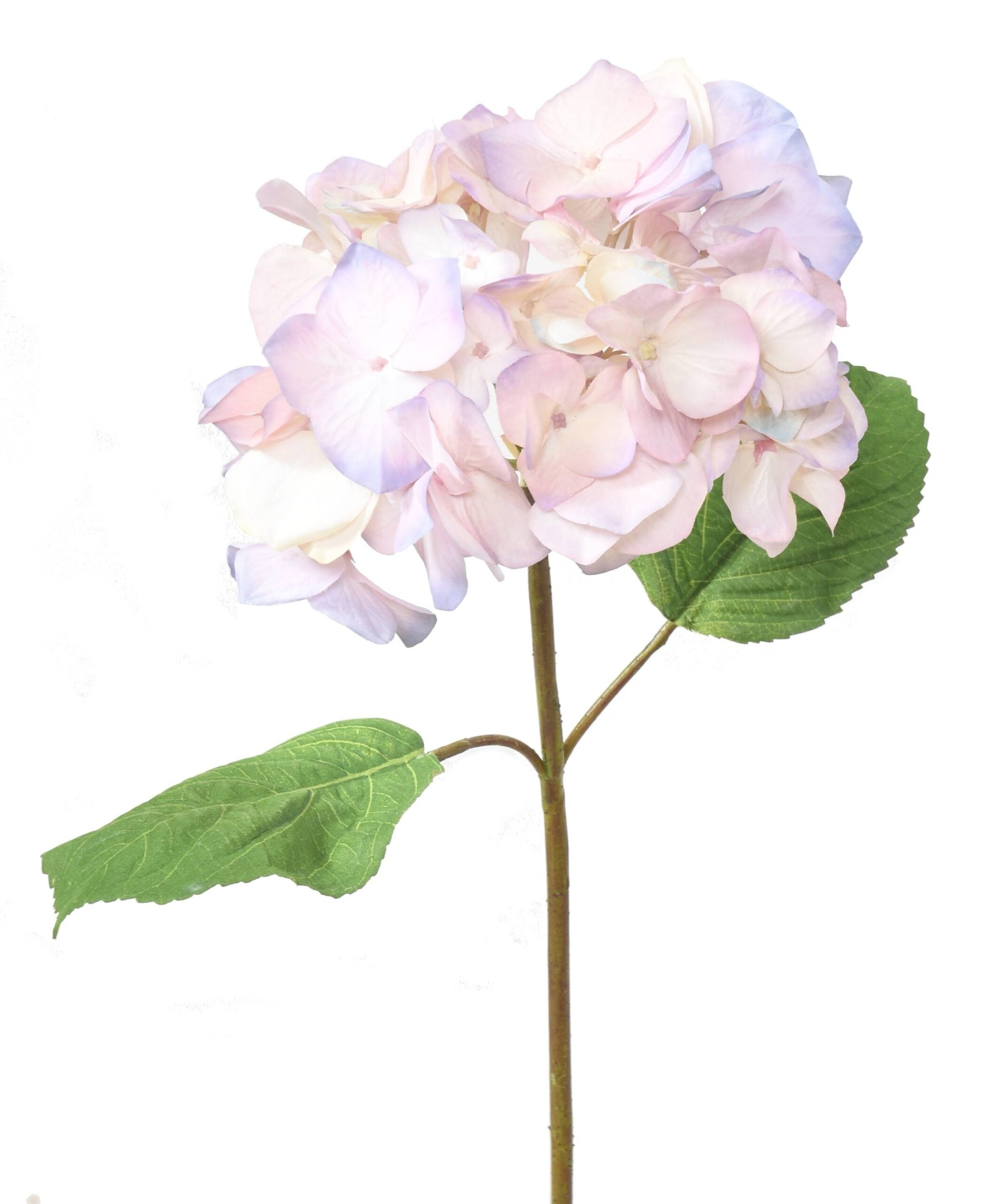 Künstliche Hortensie, pink-lila, ca. 65cm hoch 1 Künstliche Hortensie, pink-lila, ca. 65cm hoch
