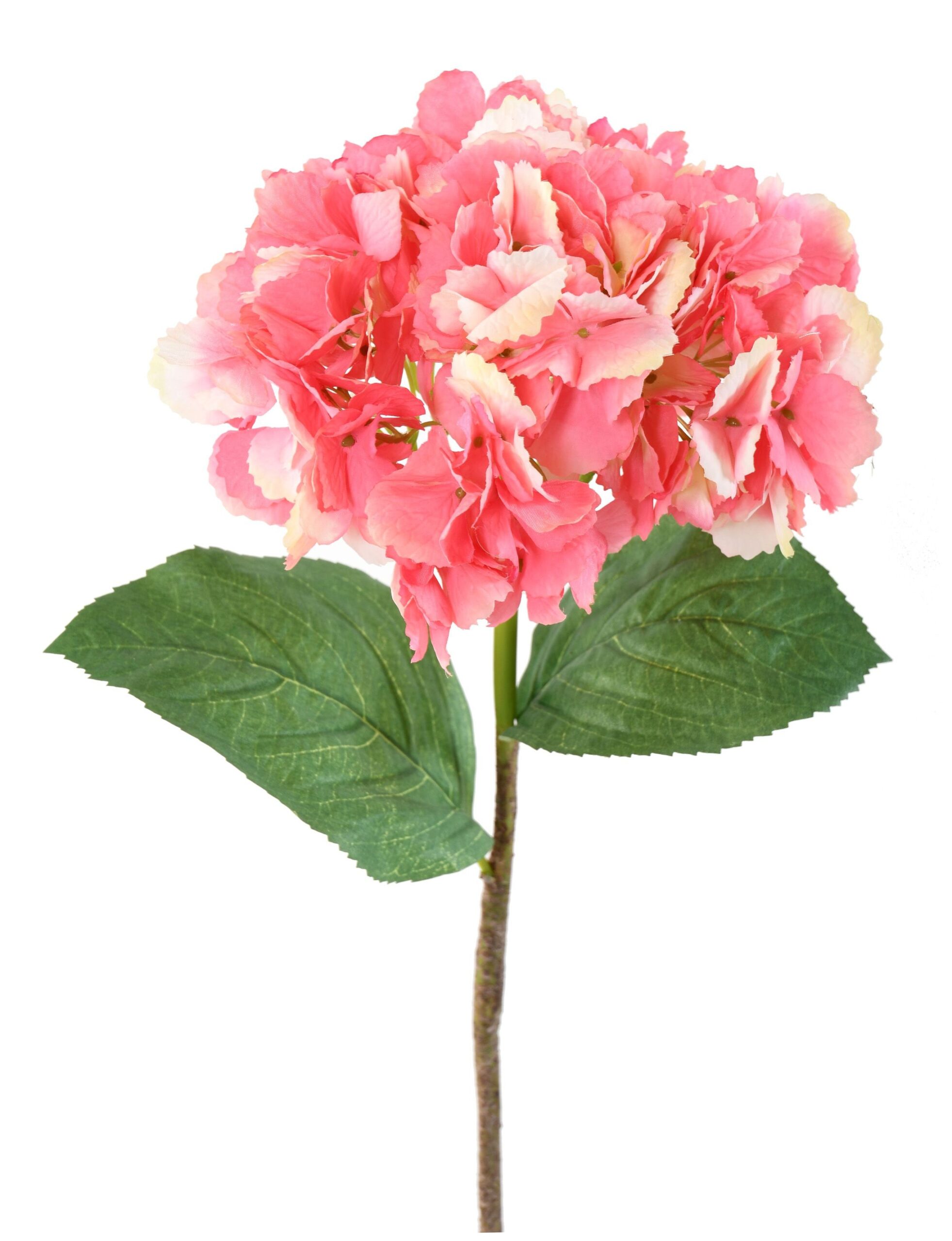 Künstliche Hortensie, pink, ca. 80cm hoch 1 Künstliche Hortensie, pink, ca. 80cm hoch