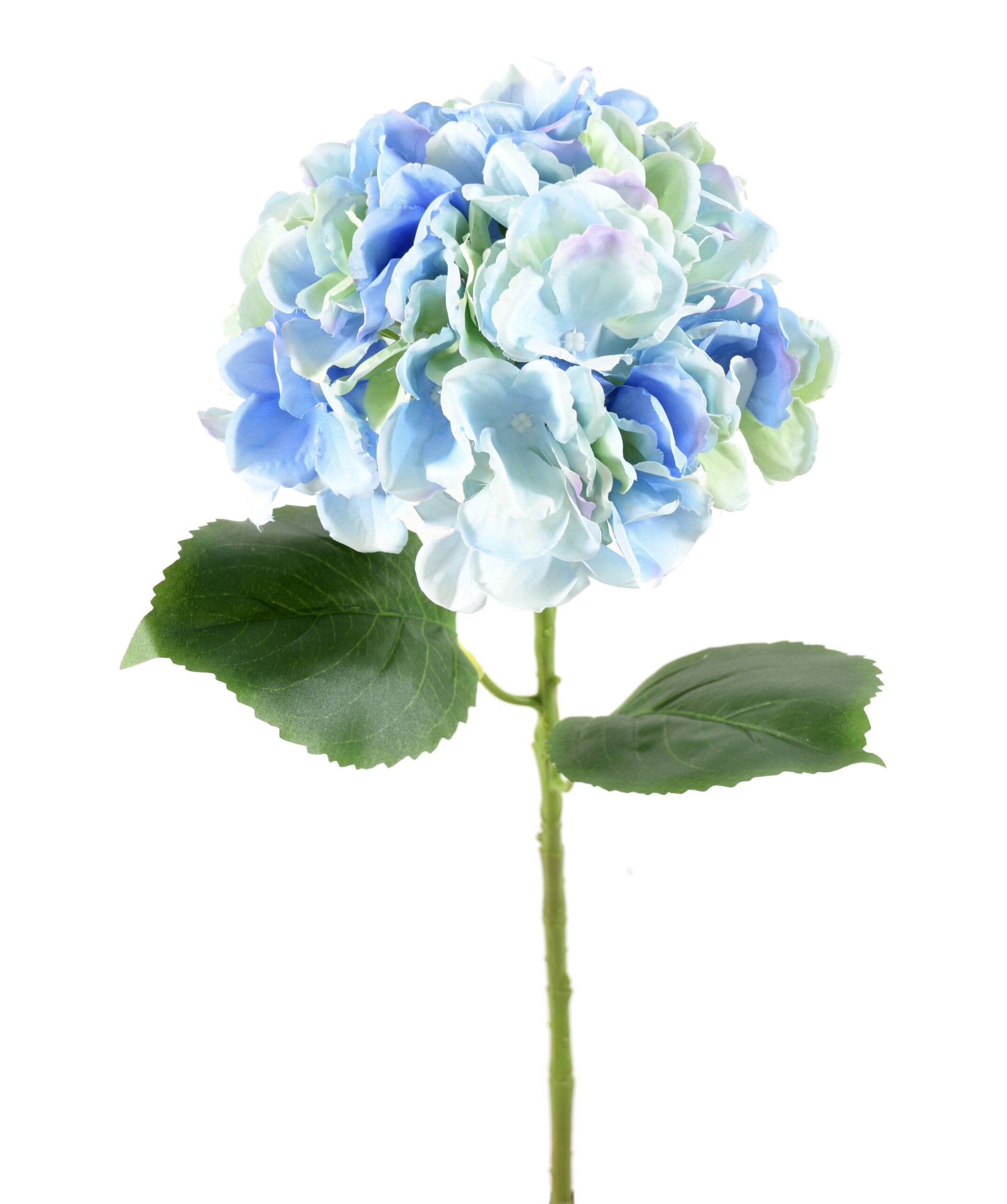 Künstliche Hortensie, blau, ca. 55cm hoch - Pflegeleicht! 1 Künstliche Hortensie, blau, ca. 55cm hoch - Pflegeleicht!