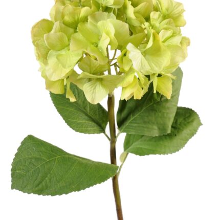 Künstliche Hortensie, grün, ca. 80cm hoch - Pflegeleicht!