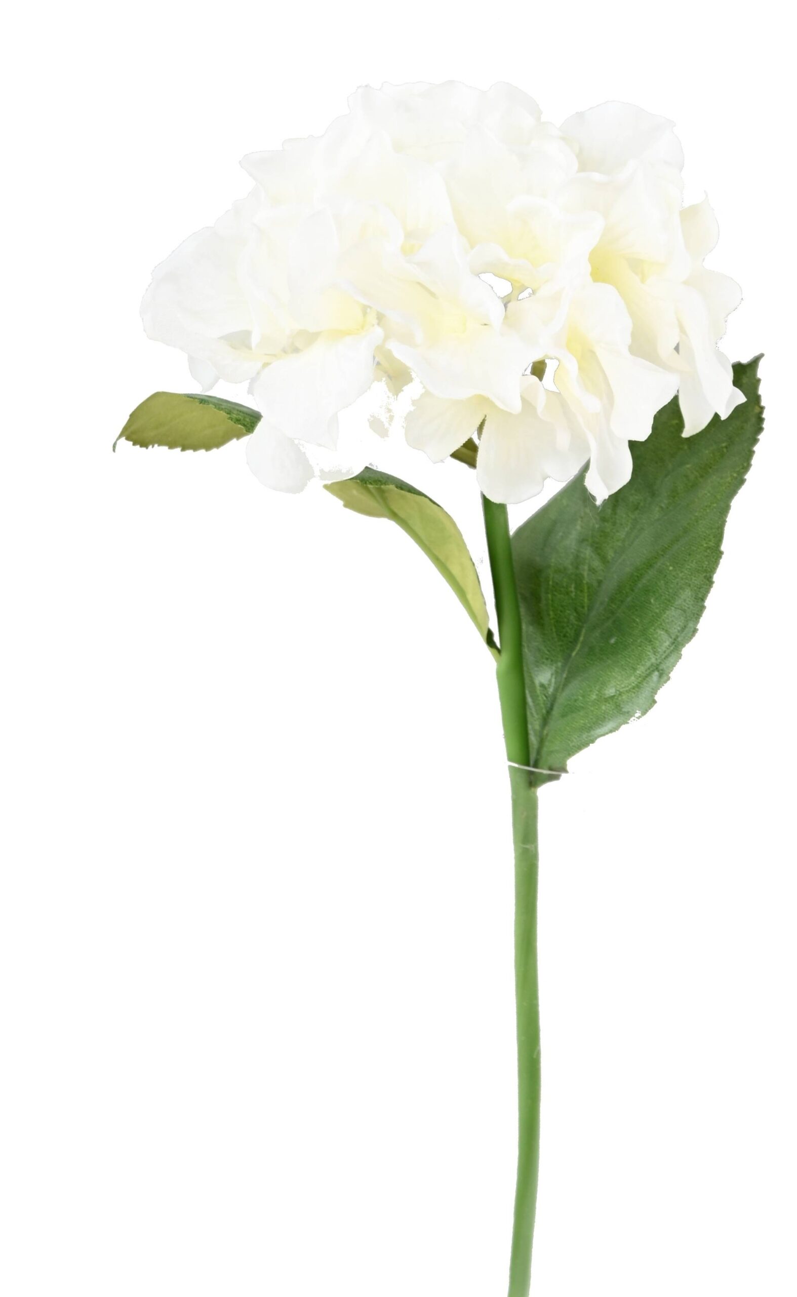 Künstliche Hortensie, weiß, ca. 30cm hoch, pflegeleicht 1 Künstliche Hortensie, weiß, ca. 30cm hoch, pflegeleicht