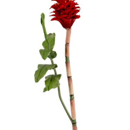 Künstliche Ingwerblume, rot, ca. 70cm hoch