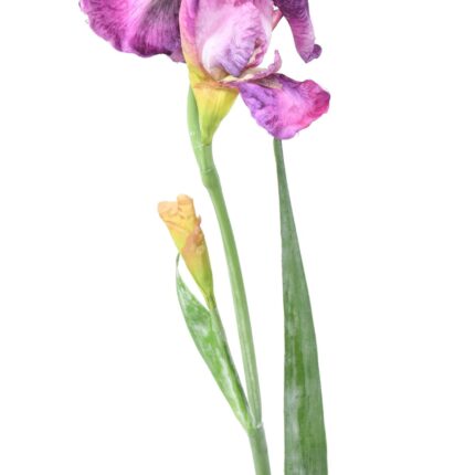 Künstliche Iris, lila, ca. 70cm hoch - Pflegeleicht!