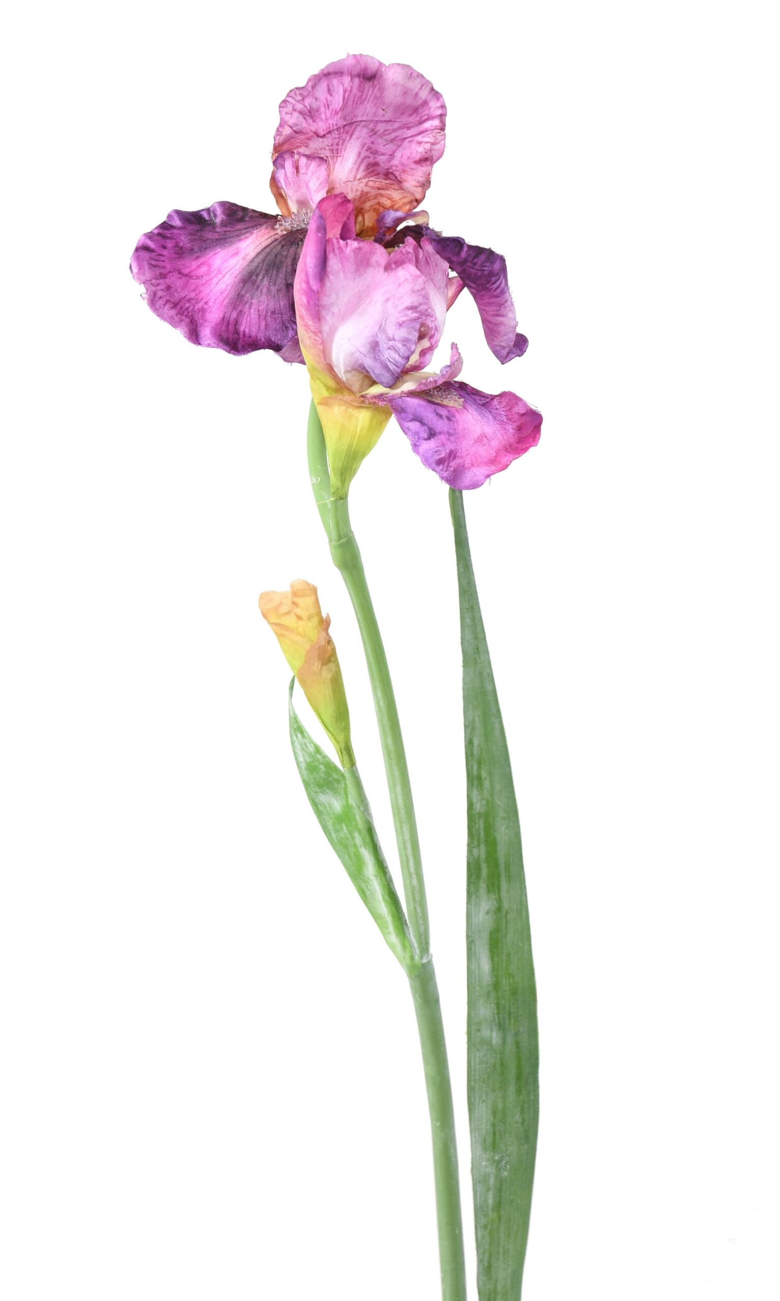 Künstliche Iris, lila, ca. 70cm hoch - Pflegeleicht! 1 Künstliche Iris, lila, ca. 70cm hoch - Pflegeleicht!