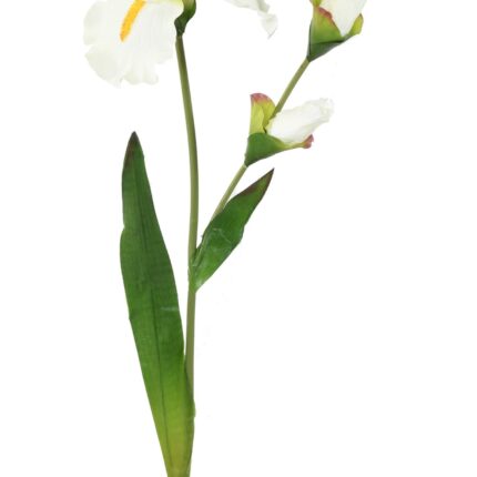 Künstliche Iris, weiß, ca. 74cm hoch - Pflegeleicht!
