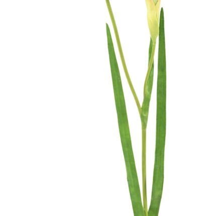 Künstliche Blumen, bunt, ca. 30cm hoch – Pflegeleicht!