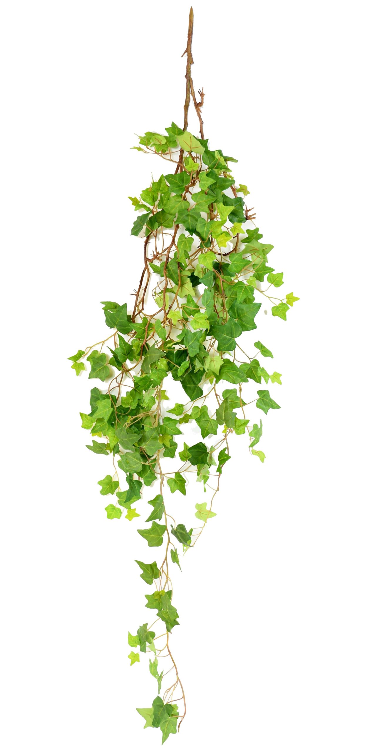 Künstliche Efeu Hängepflanze, ca. 160cm 1 Künstliche Efeu Hängepflanze, ca. 160cm