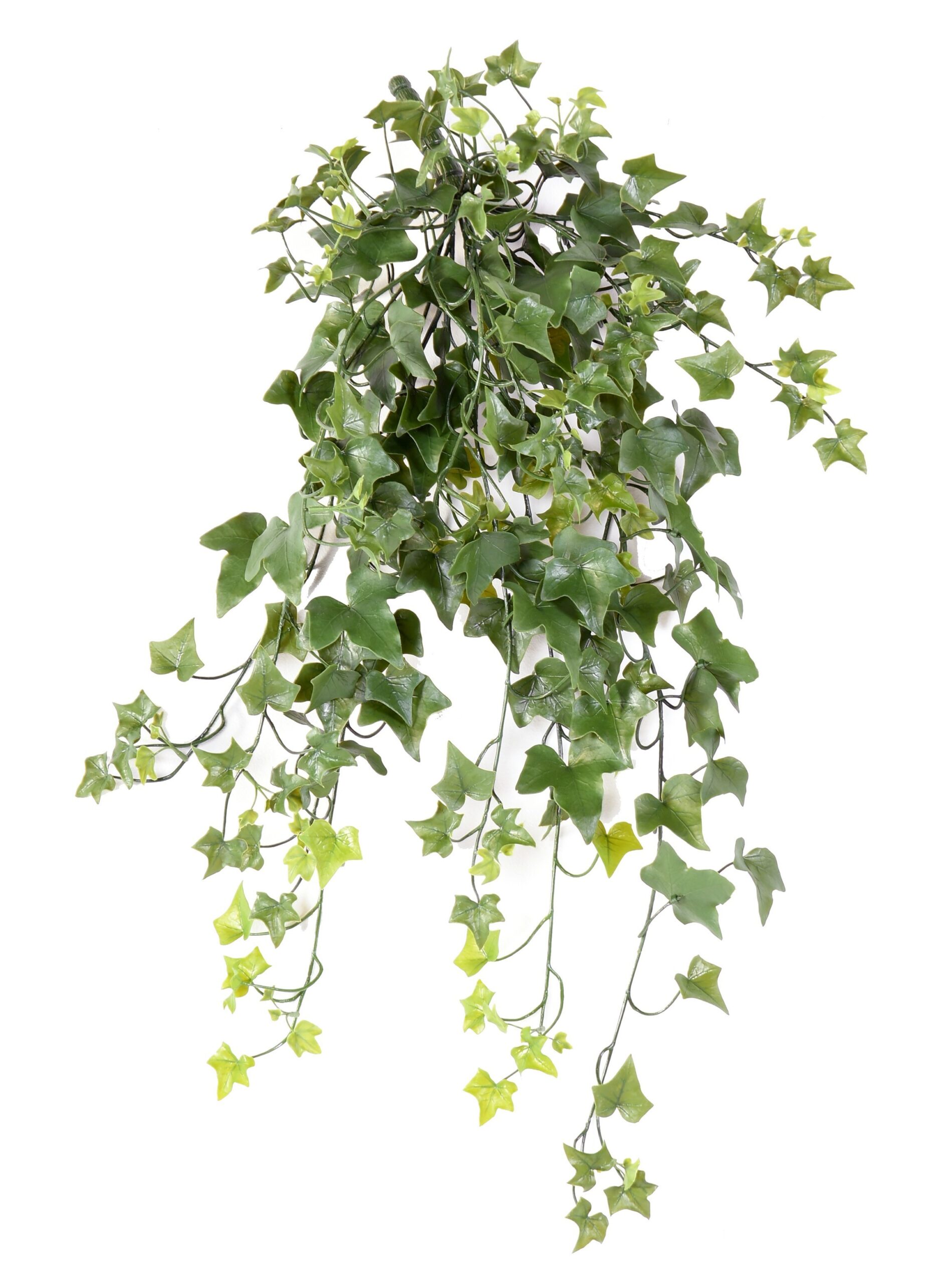 Künstliche Hängepflanze Efeu, ca. 70cm 1 Künstliche Hängepflanze Efeu, ca. 70cm