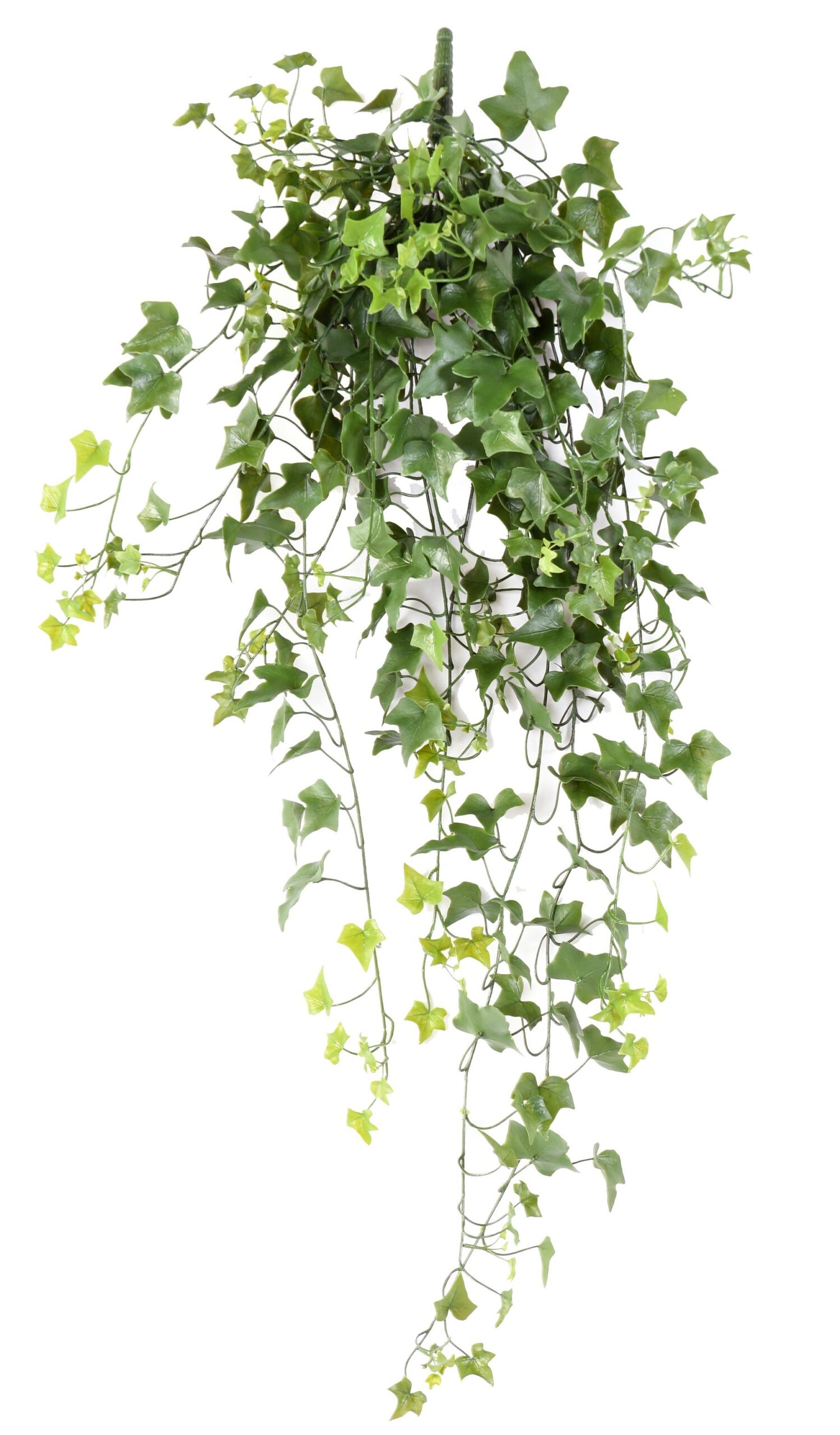 Künstliche Efeu Hängepflanze, ca. 100cm 1 Künstliche Efeu Hängepflanze, ca. 100cm