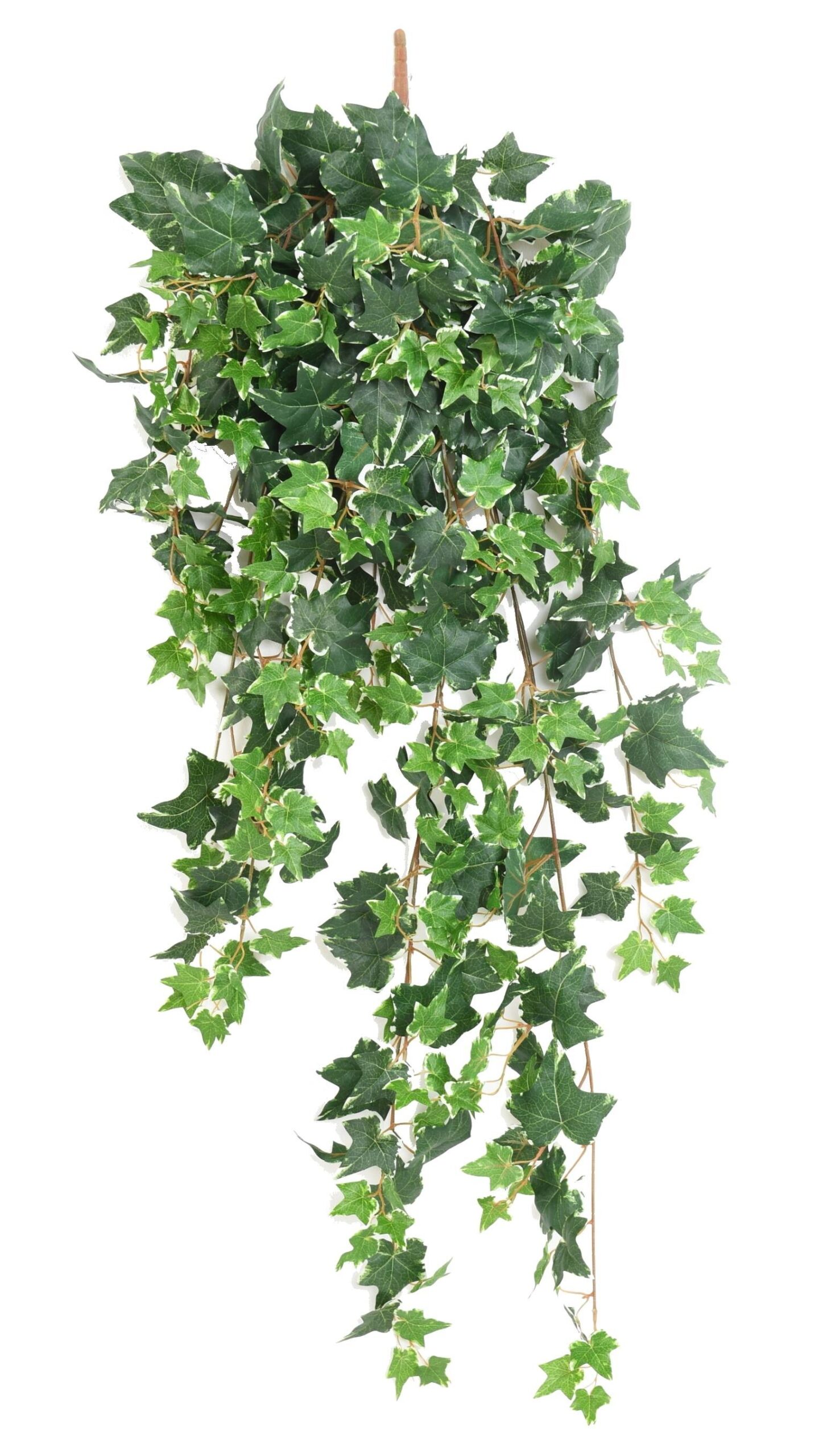 Künstliche Efeu Hängepflanze, ca. 125cm 1 Künstliche Efeu Hängepflanze, ca. 125cm