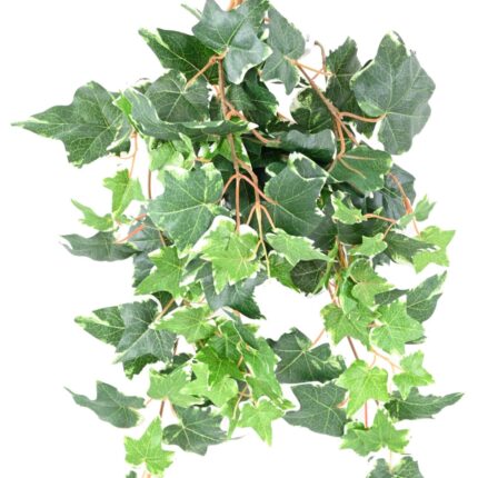 Künstliche Efeu Hängepflanze, ca. 60cm