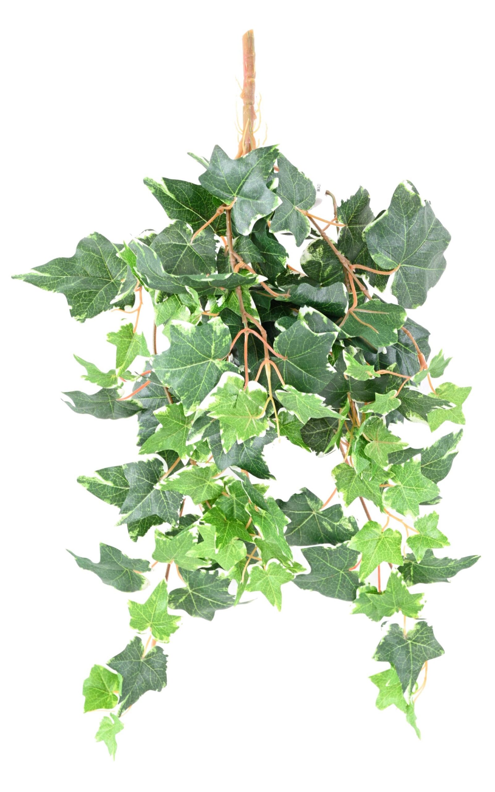 Künstliche Efeu Hängepflanze, ca. 60cm 1 Künstliche Efeu Hängepflanze, ca. 60cm