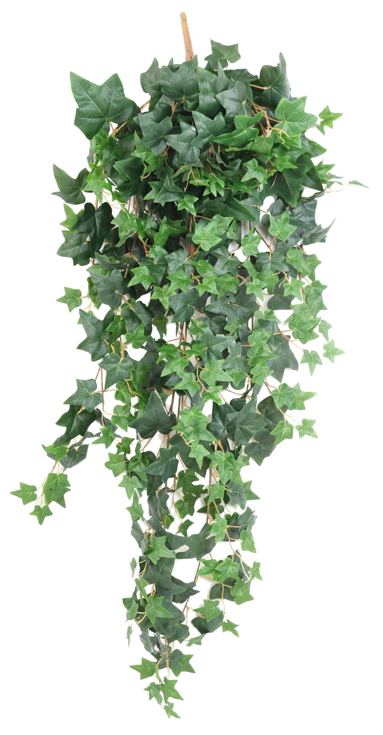 Künstliche Efeu Hängepflanze, ca. 130cm 1 Künstliche Efeu Hängepflanze, ca. 130cm