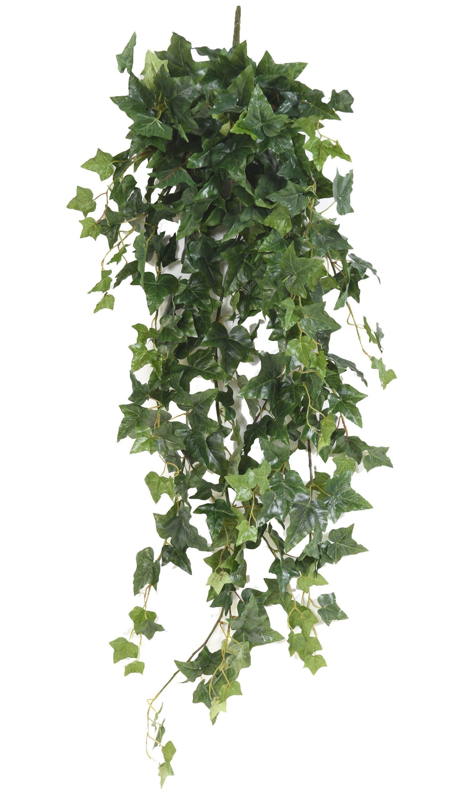 Künstlicher Efeu Hängender Busch, ca. 120cm 1 Künstlicher Efeu Hängender Busch, ca. 120cm