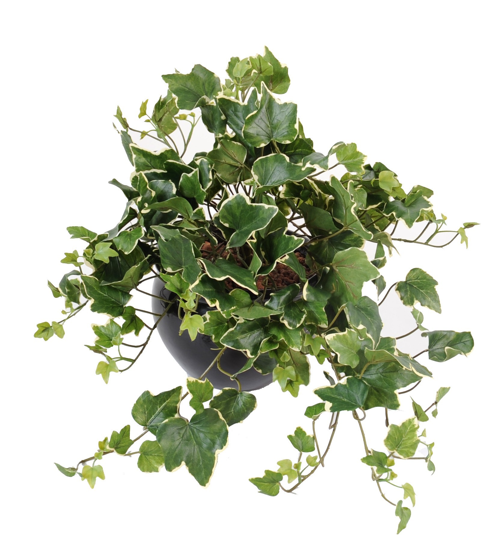 Künstliche Hängepflanze Ivy Gala, ca. 50cm 1 Künstliche Hängepflanze Ivy Gala, ca. 50cm