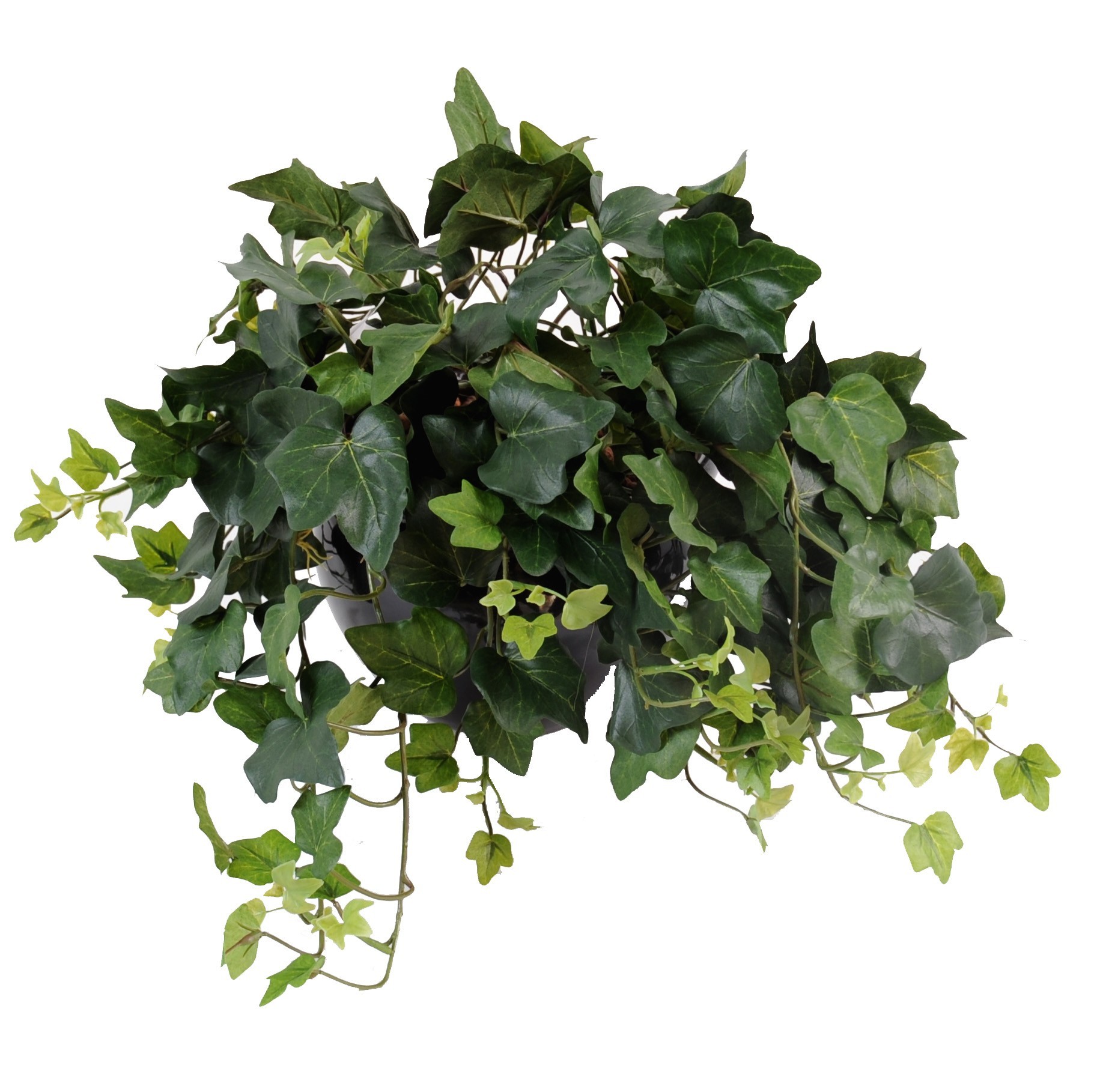 Künstliche Efeu Hängepflanze, ca. 50cm 1 Künstliche Efeu Hängepflanze, ca. 50cm