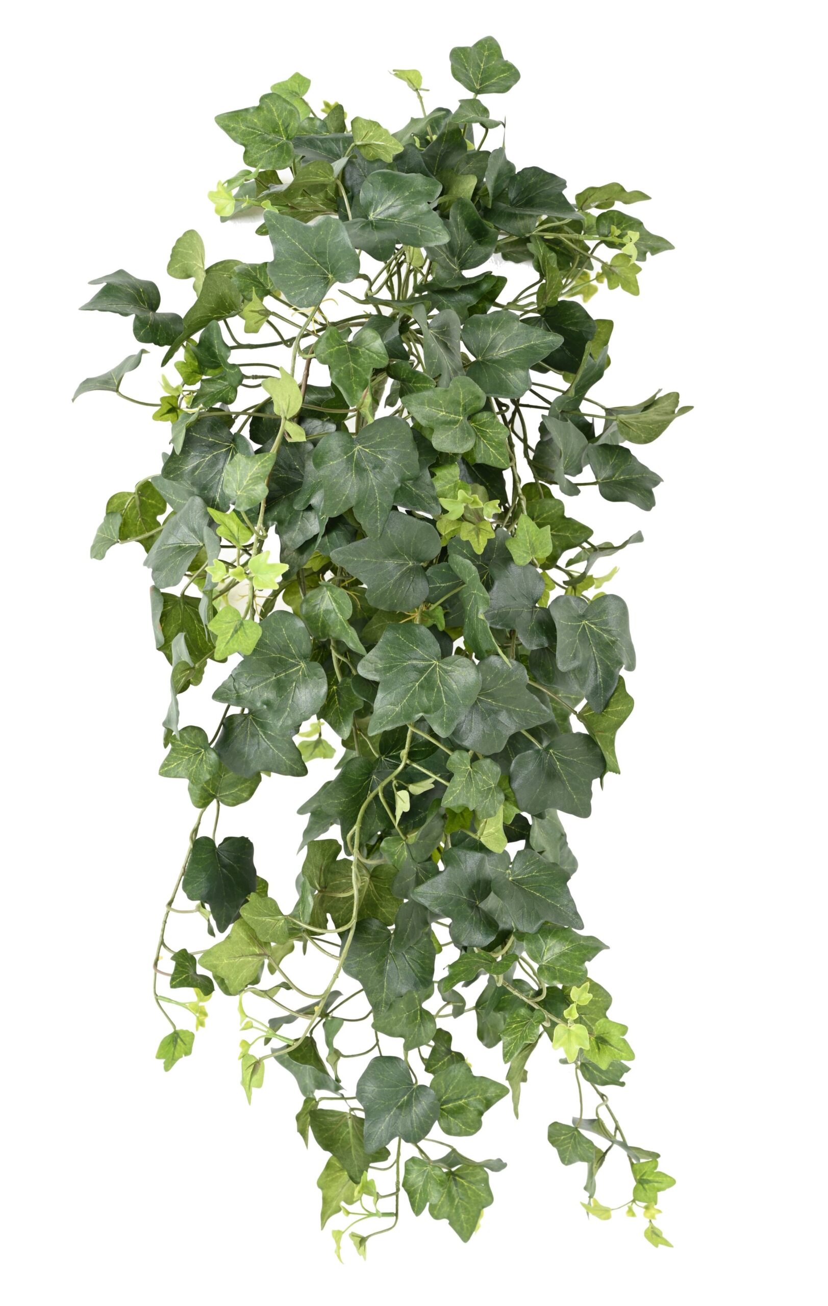 Künstlicher Efeu – Künstliche Außenpflanze, ca. 75cm hoch, UV-beständig 1 Künstlicher Efeu – Künstliche Außenpflanze, ca. 75cm hoch, UV-beständig