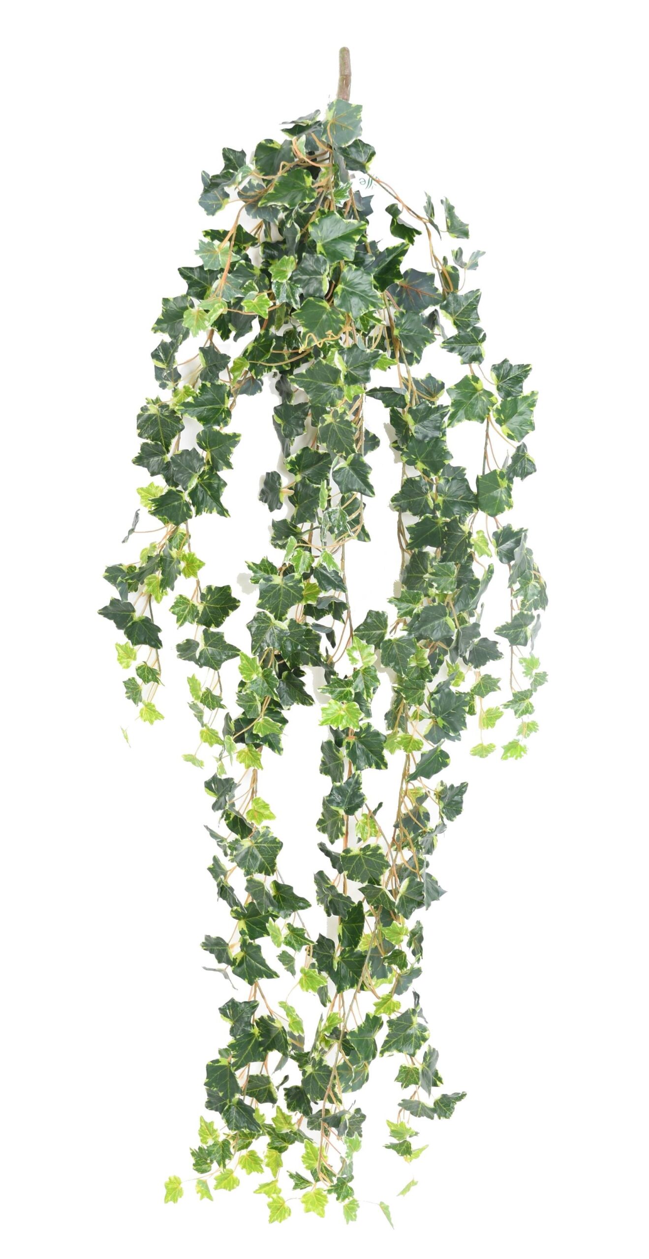 Künstlicher Efeu – Space Green, ca. 130cm 1 Künstlicher Efeu – Space Green, ca. 130cm