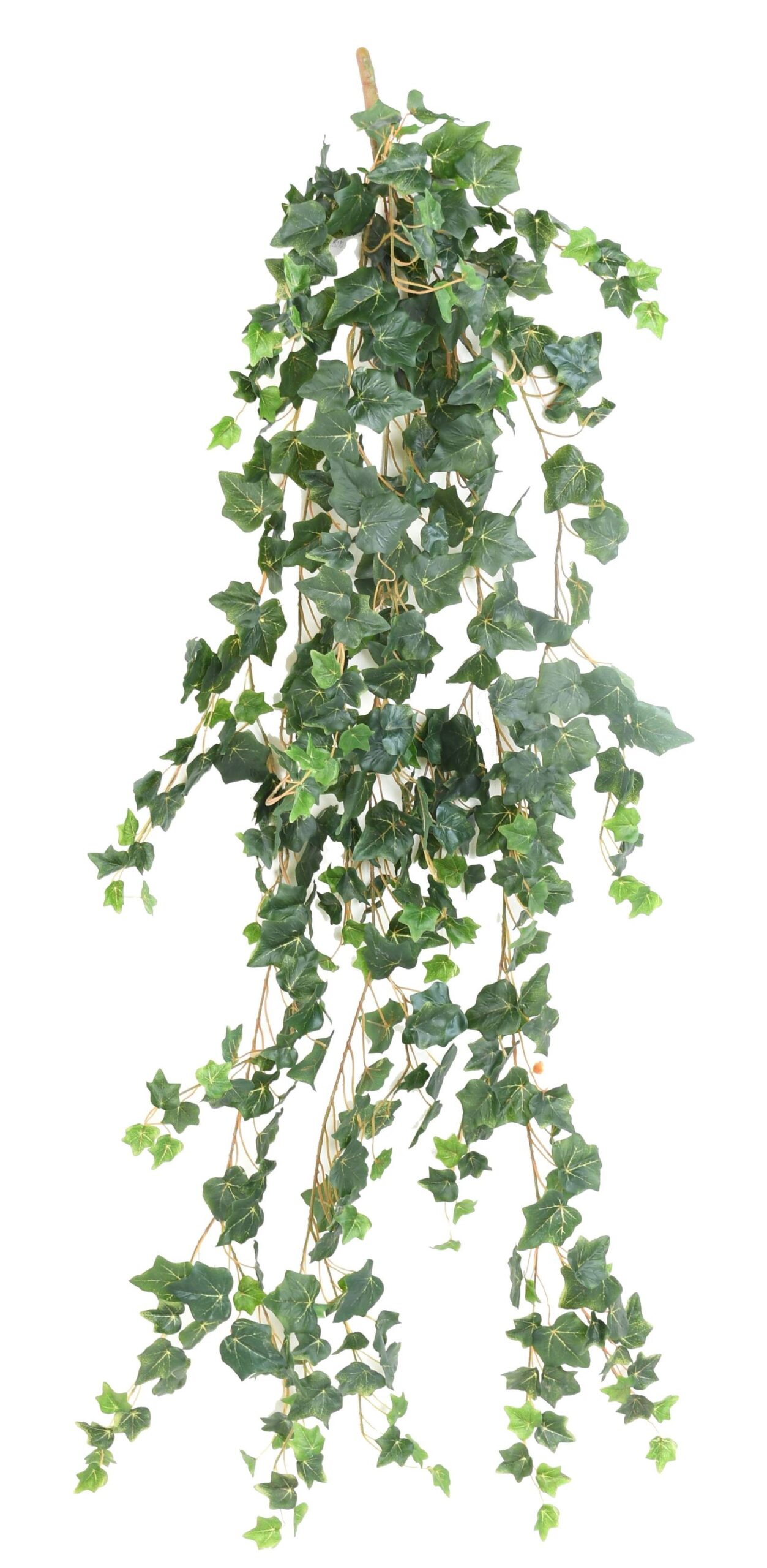 Künstliche Efeu Hängepflanze, ca. 130cm 1 Künstliche Efeu Hängepflanze, ca. 130cm