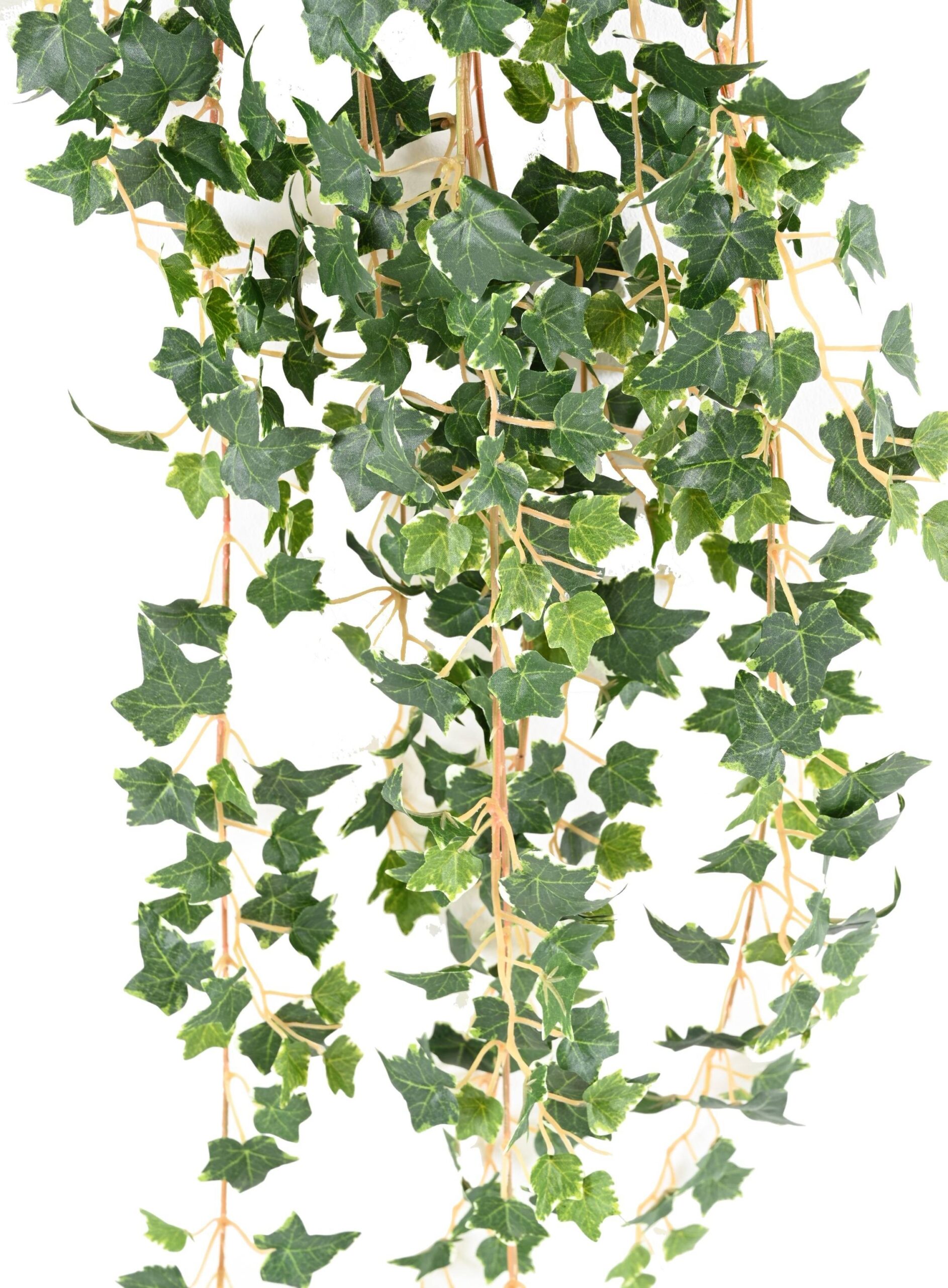 Künstliche Efeu Hängepflanze, ca. 110cm 1 Künstliche Efeu Hängepflanze, ca. 110cm