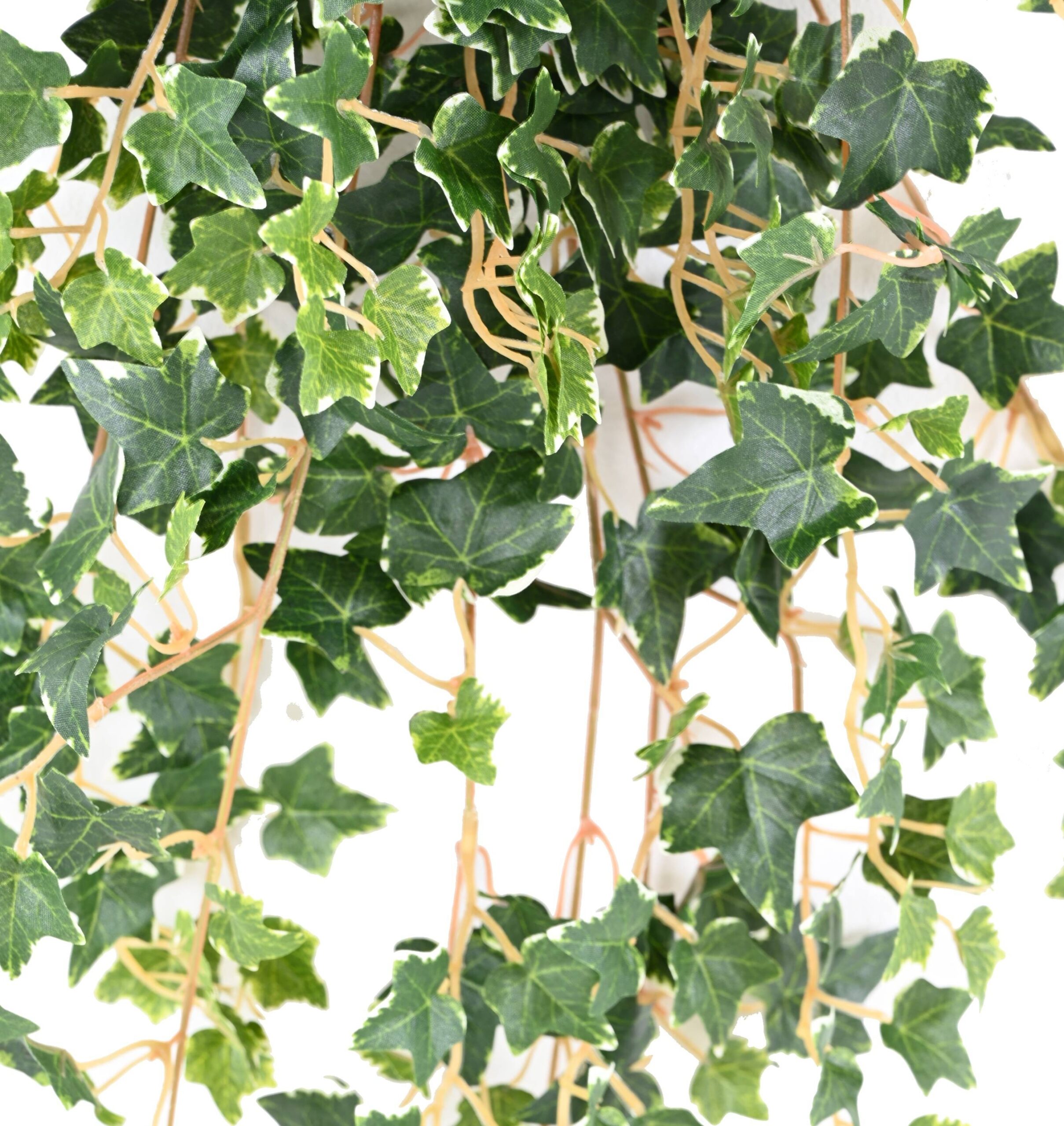 Künstlicher Efeu, ca. 70cm, bunt 1 Künstlicher Efeu, ca. 70cm, bunt