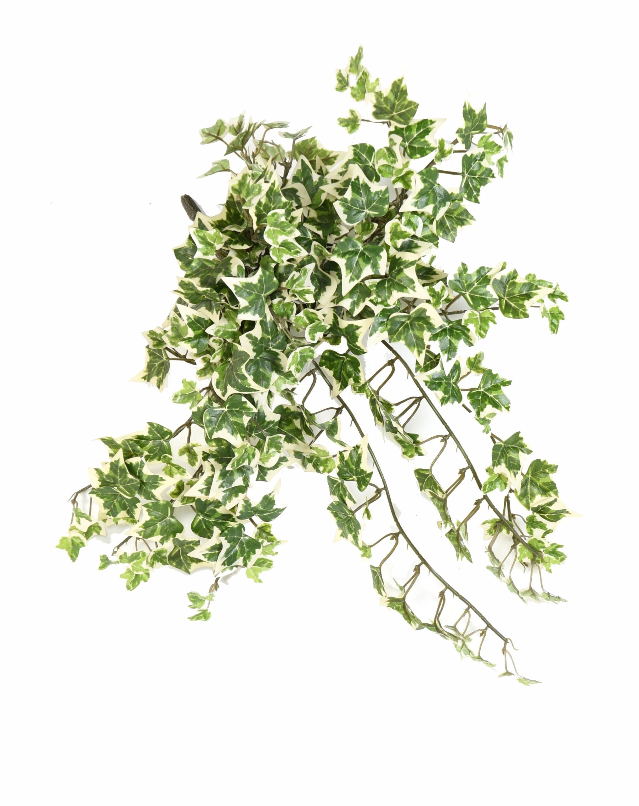 Künstliche Efeu Hängepflanze, ca. 35cm 1 Künstliche Efeu Hängepflanze, ca. 35cm