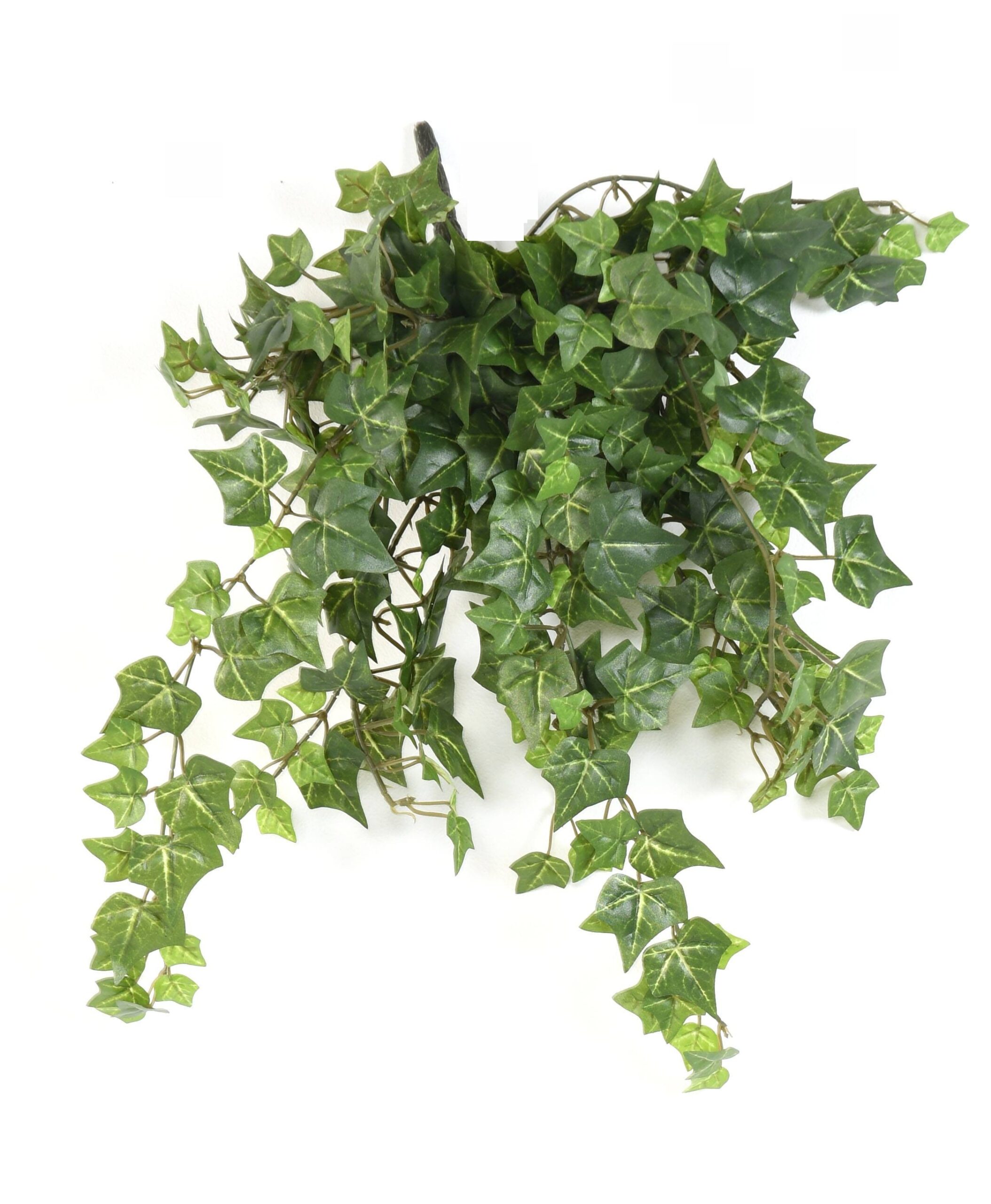 Künstliche Efeu Hängepflanze, ca. 35cm 1 Künstliche Efeu Hängepflanze, ca. 35cm