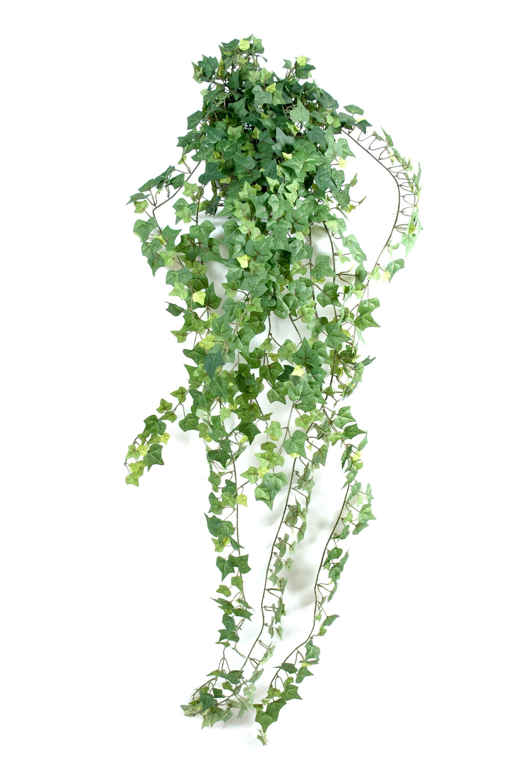 Künstlicher Efeu – Künstliche Außenpflanze, ca. 130cm hoch, UV-beständig 1 Künstlicher Efeu – Künstliche Außenpflanze, ca. 130cm hoch, UV-beständig