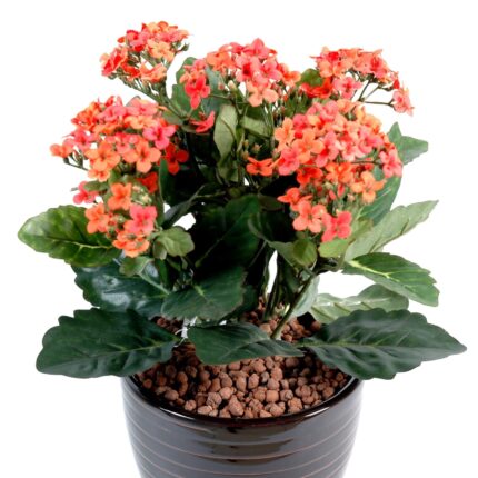 Künstliche Kalanchoe, 25cm, rosa