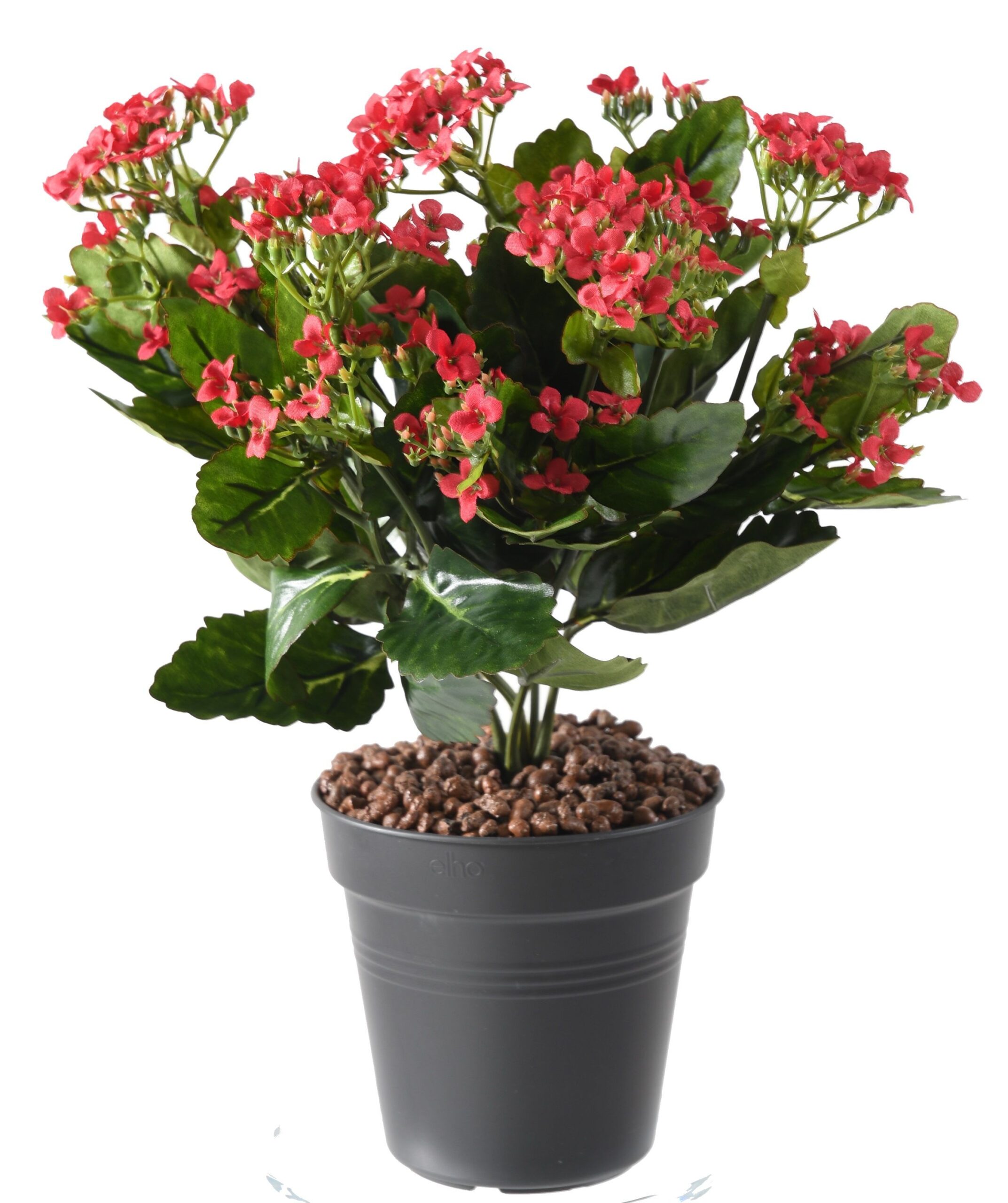 Künstliche Kalanchoe, 25cm, rot 1 Künstliche Kalanchoe, 25cm, rot