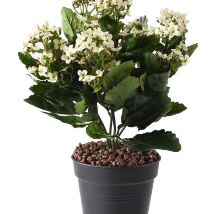 Künstliche Kalanchoe, 25cm, hellrosa