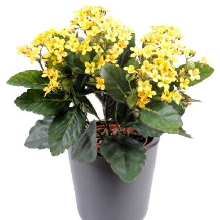 Künstliche Kalanchoe, 25cm, gelb
