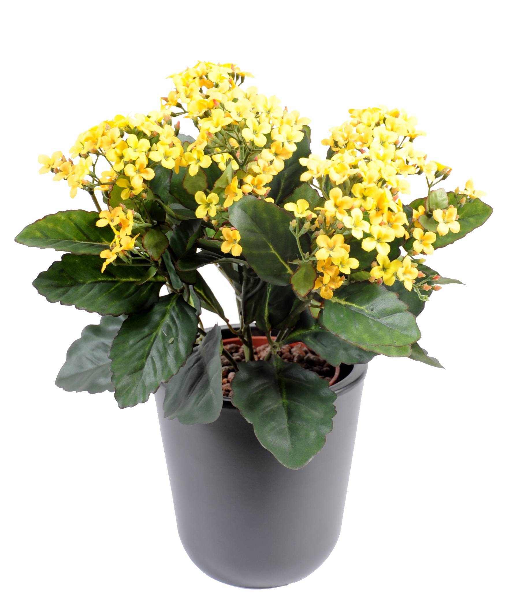 Künstliche Kalanchoe, 25cm, gelb 1 Künstliche Kalanchoe, 25cm, gelb
