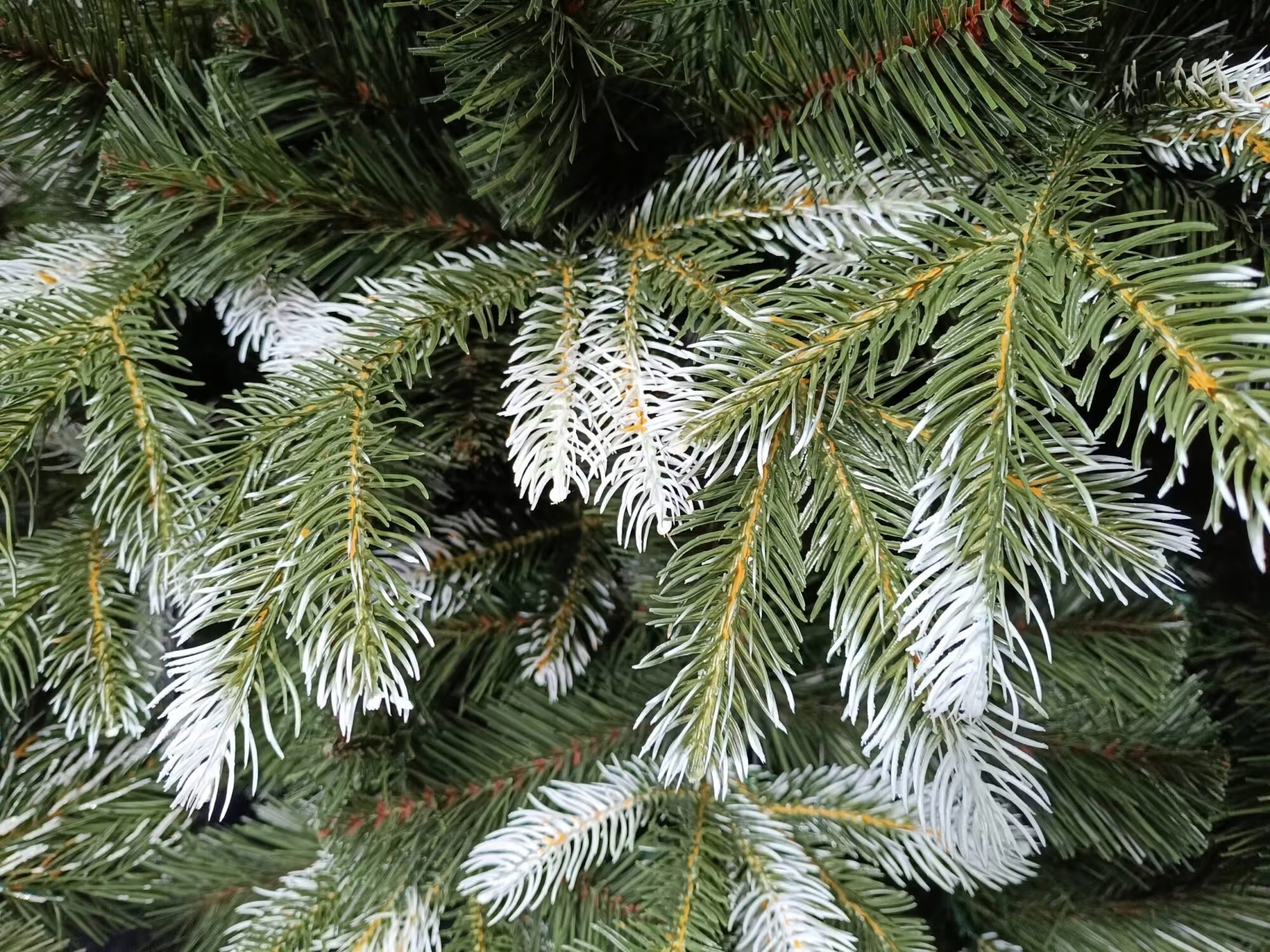 Künstliche Kanadische Schneekiefer PE/PVC, ca. 240cm 3 Künstliche Kanadische Schneekiefer PE/PVC, ca. 240cm – Bild 3