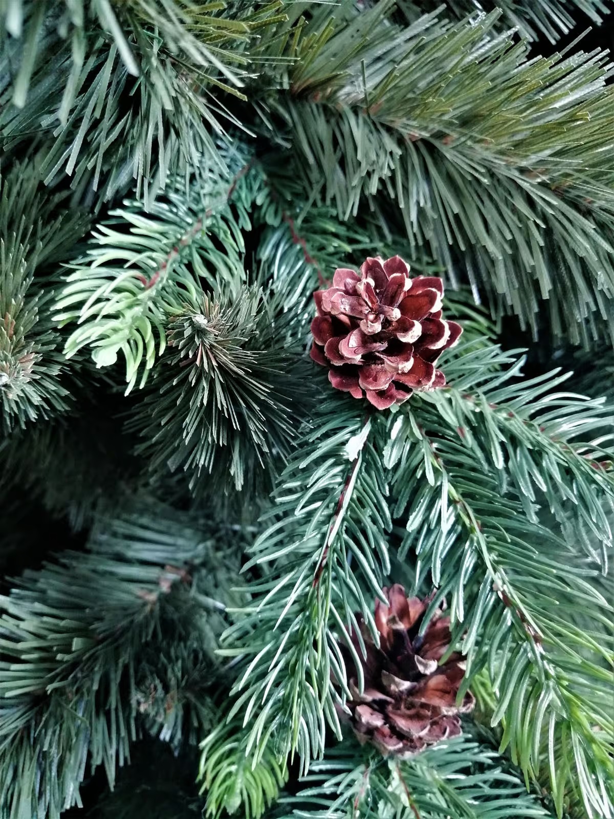 Künstlicher Weihnachtsbaum Koreanische Tanne PE/PVC, ca. 120cm 3 Künstlicher Weihnachtsbaum Koreanische Tanne PE/PVC, ca. 120cm – Bild 3