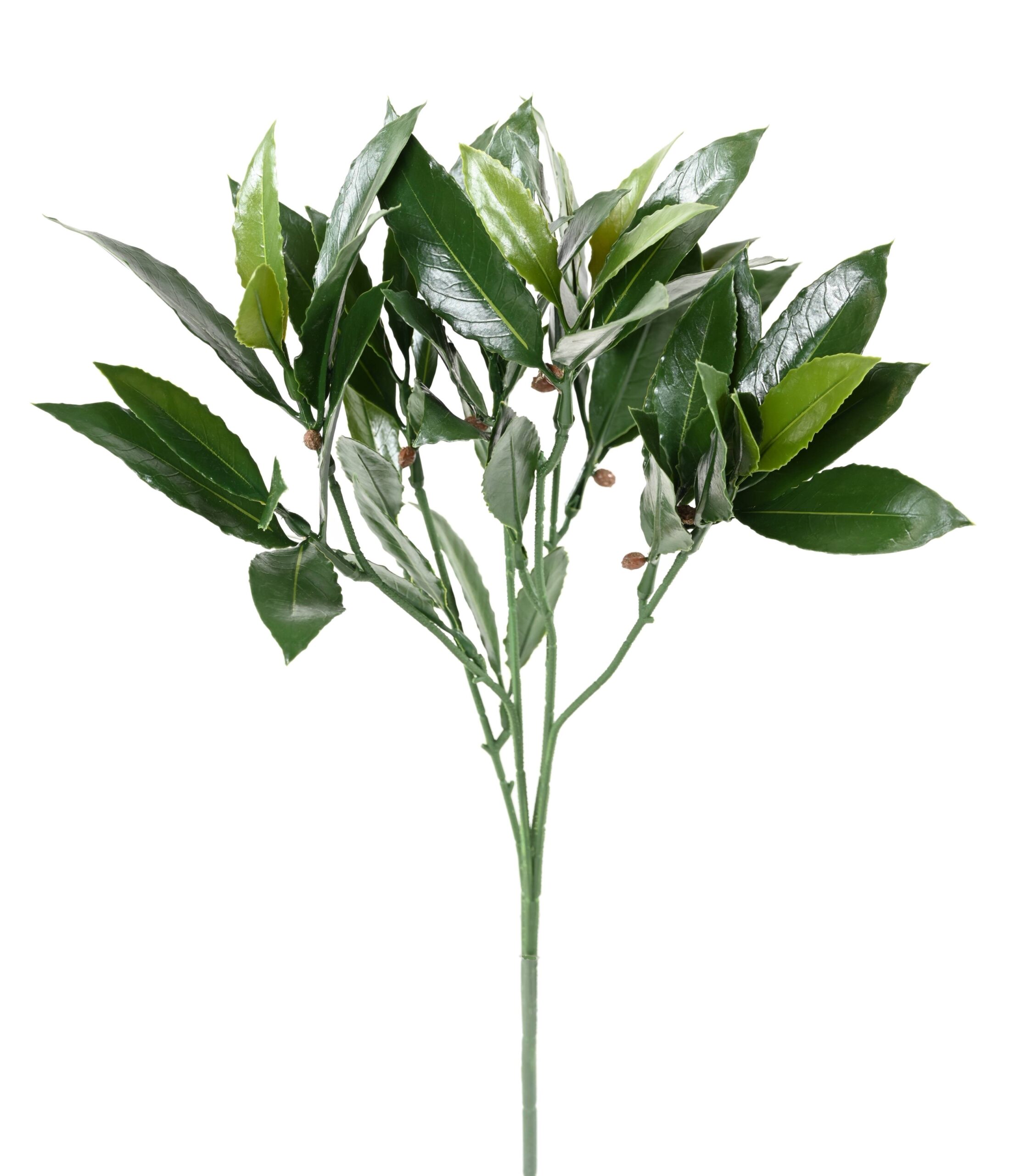 Künstlicher Lorbeerzweig, ca 50cm, UV-beständig, grün 1 Künstlicher Lorbeerzweig, ca 50cm, UV-beständig, grün