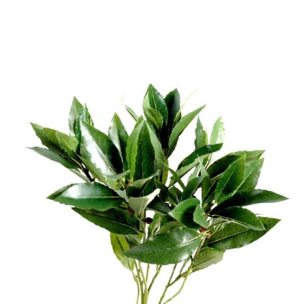 Künstlicher Lorbeerzweig, ca 50cm, grün