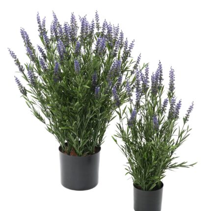 Lavendel Topf, UV-beständig, 68cm, lila
