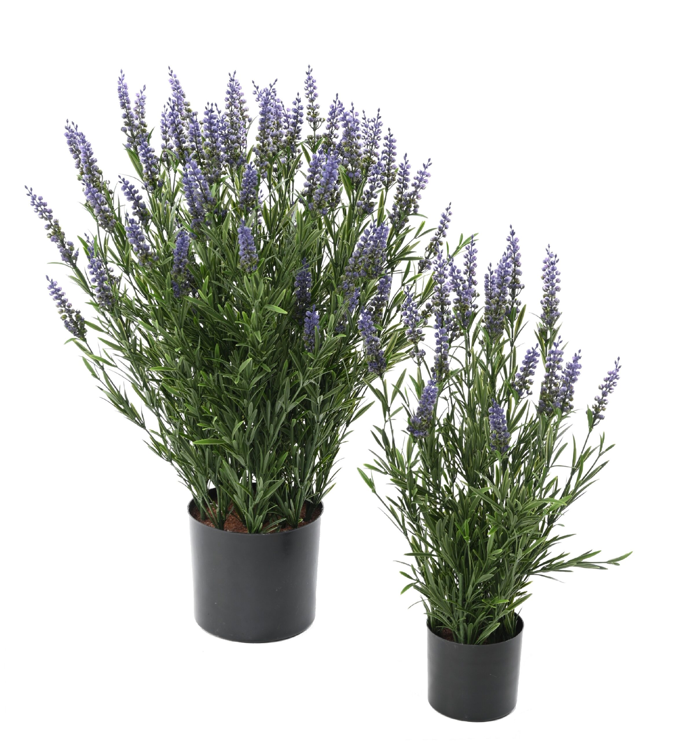 Lavendel Topf, UV-beständig, 68cm, lila 1 Lavendel Topf, UV-beständig, 68cm, lila