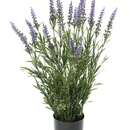 Lavendel Topf, 55cm, UV-beständig, feuerfest, lavendel