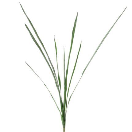 Künstlicher Cymbidium Blattzweig, ca 110cm, grün