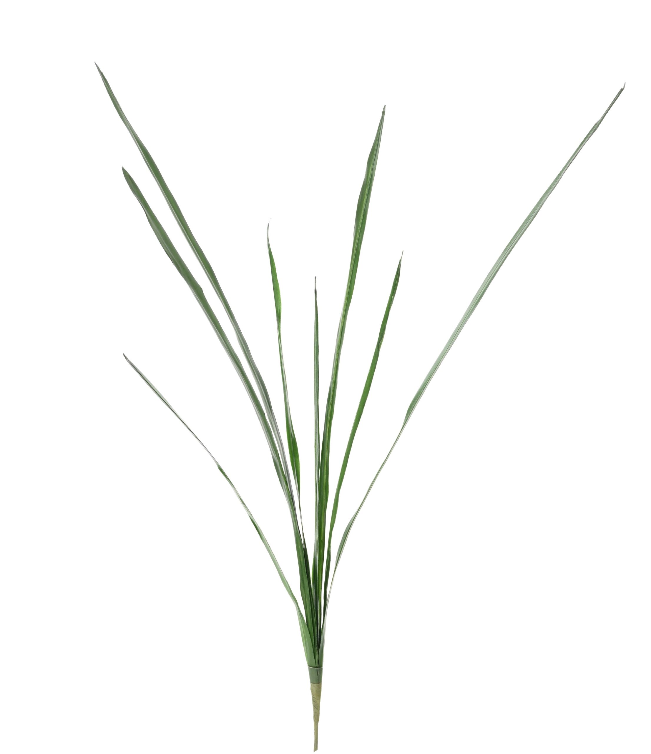 Künstlicher Cymbidium Blattzweig, ca 110cm, grün 1 Künstlicher Cymbidium Blattzweig, ca 110cm, grün